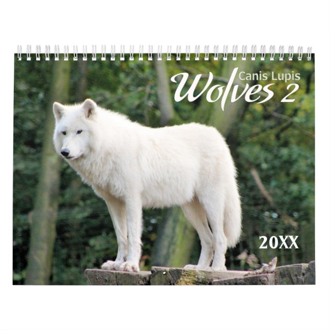 2021 Wolves 2 Wildlife Photography Calendar (Cover)