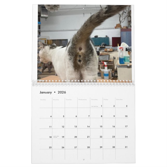20222 Cat Butt Calendar (Jan 2026)