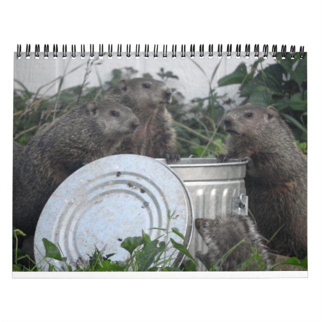 2022 12 Month Groundhog Photo Wall Calendar (Cover)