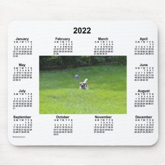 2022 Ball Playing Dog Photo Calendar by Janz Mouse Pad