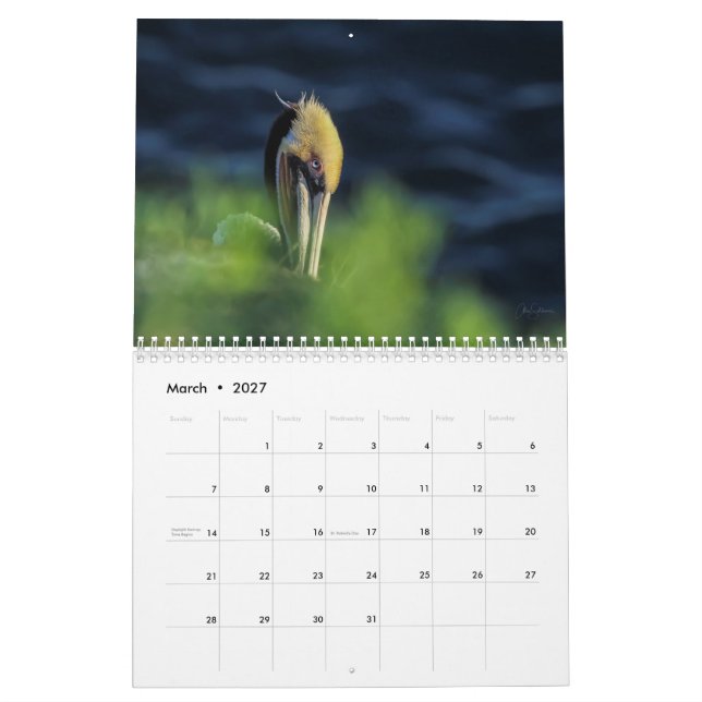 2022 Beautiful Birds Wall Calendar (Mar 2027)