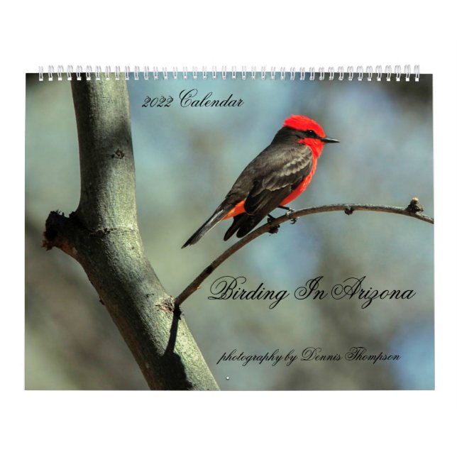 2022 Birding in Arizona Calendrier (Protection)