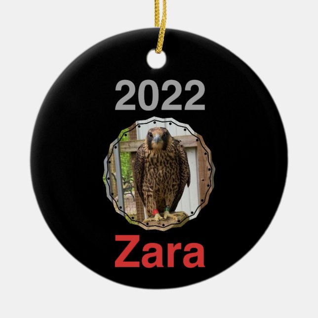 2022 Cercle en céramique ornement Zara (Devant)
