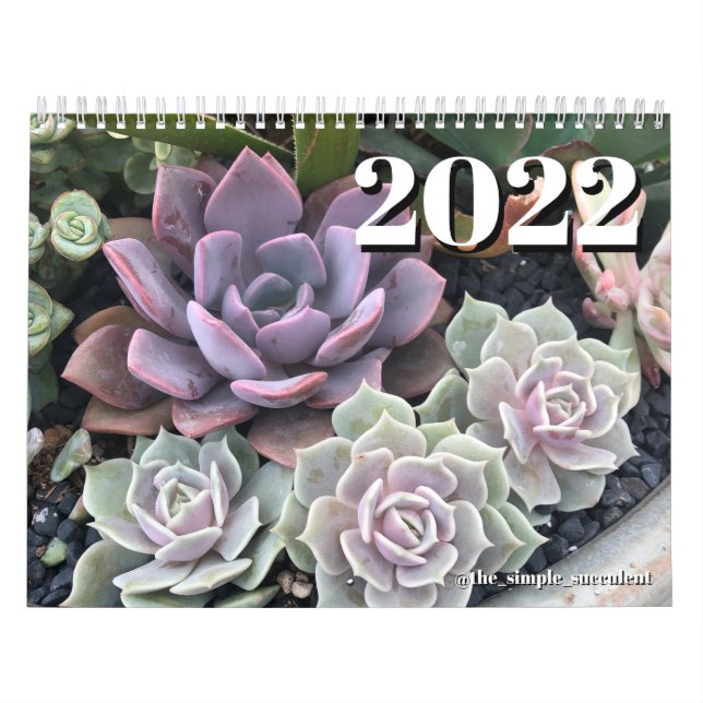 2022 Colourful Succulent Plant Calendar (Cover)