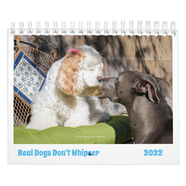 2022 Dog Calendar Brighten Your Days With Cuteness (Cover)