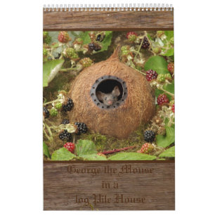 2022 George the mouse in a log pile house calendar