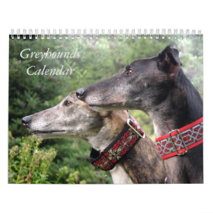 2022 Greyhound calendar