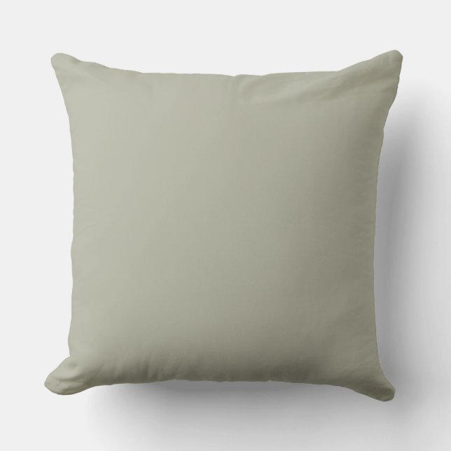 2022 October Mist interior design trend colour. El Throw Pillow (Front)