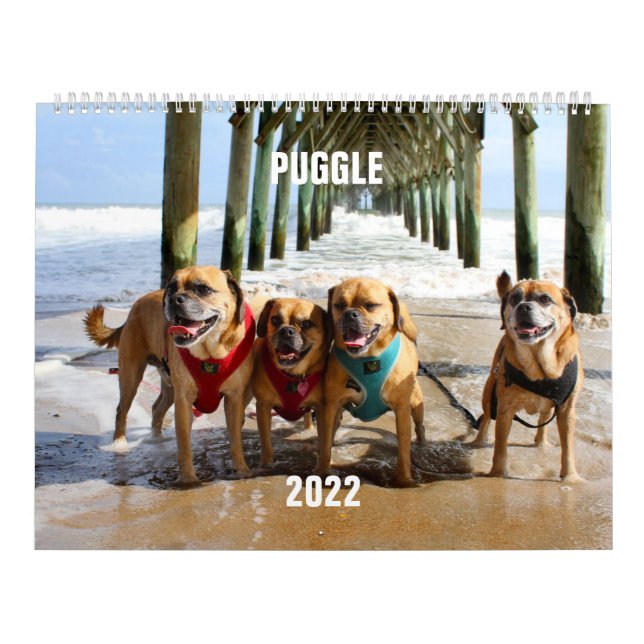 2022 Puggle Calendar (Cover)