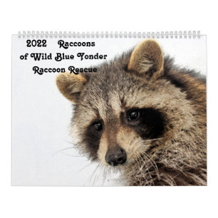 2022 Raccoons of Wild Blue Yonder Raccoon Rescue Calendar