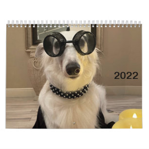 2022 Silken Windhounds (Dressed Up/Silly) Calendar