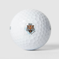 2022 Year of The Tiger