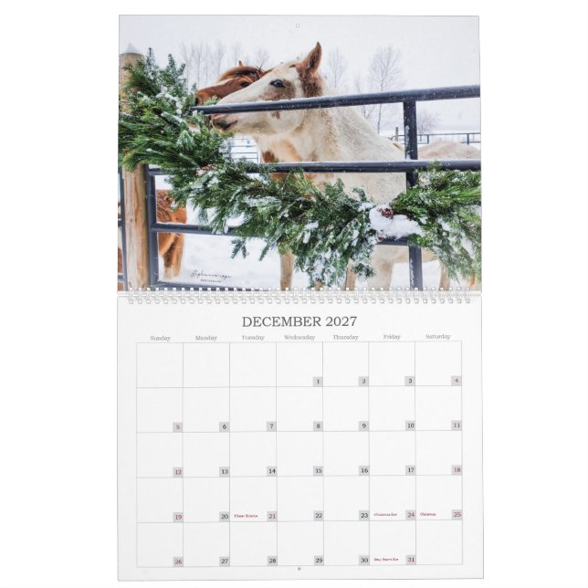 2023- A Michigan Mustang Year Calendar (Dec 2027)