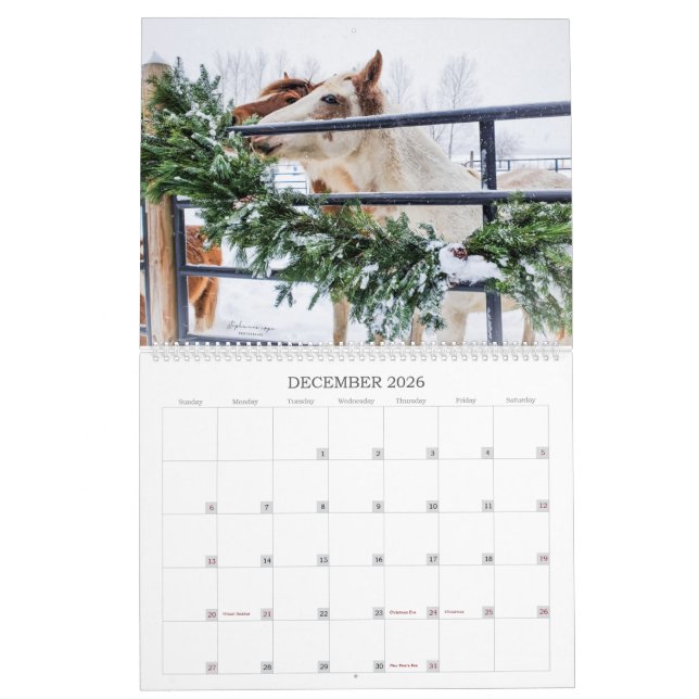 2023- A Michigan Mustang Year Calendar (Dec 2026)