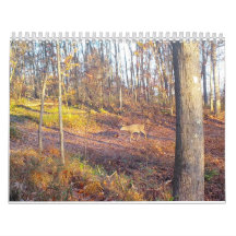 2023 Animaux de la nature Calendrier