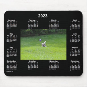 2023 Ball Playing Dog Neon Photo Calendar by Janz Mouse Pad