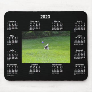 2023 Ball Playing Dog Neon Photo Calendar by Janz Mouse Pad