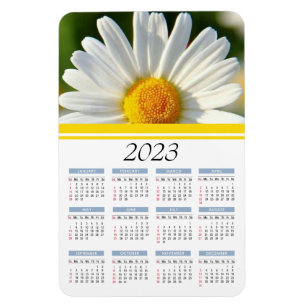 2023 Bright Shasta Daisy Floral Calendar Magnet