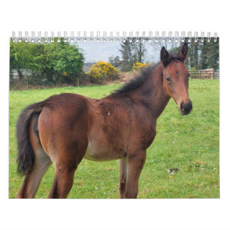 2023 Calendar Thoroughbred Mares and Foals 