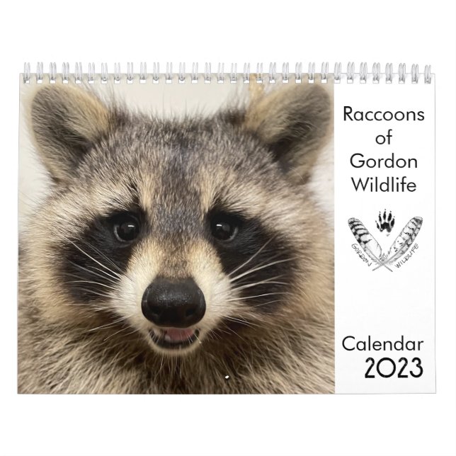 2023 Calendrier Raccoons de Gordon Wildlife (Protection)