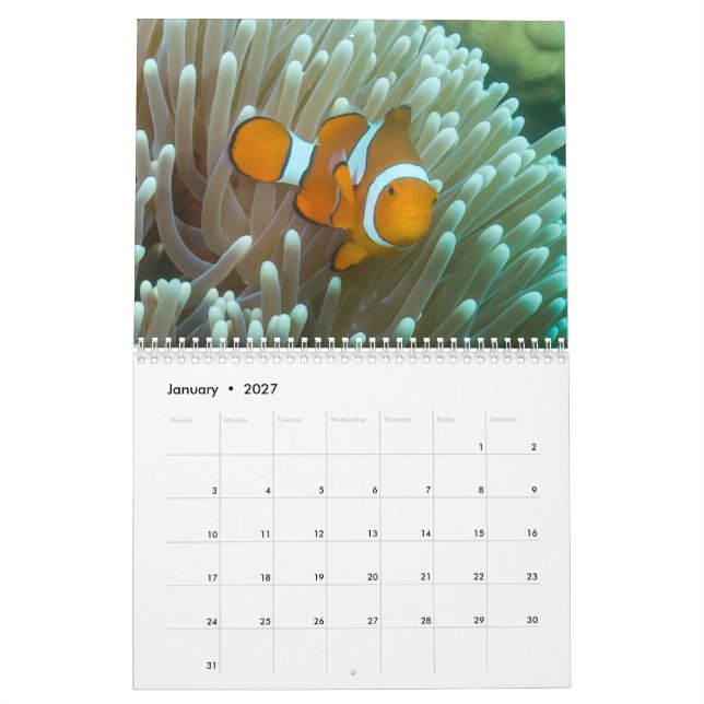 2023 Coral Sea Calendar (Jan 2027)