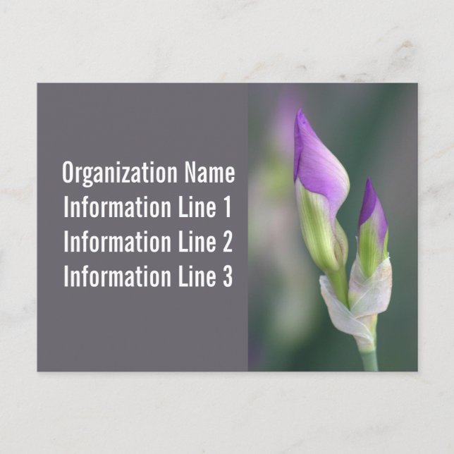 2023 Custom Company Postcard Calendar  (Front)