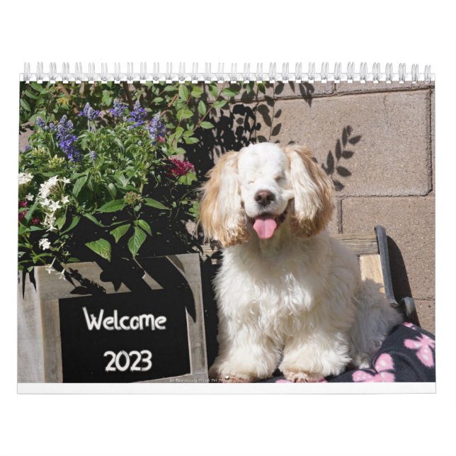 2023 Cute & Adorable Dog Calendar (Cover)