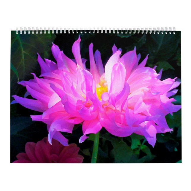 2023 Dahlia Flowers Calendar (Cover)