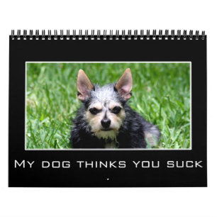 2023 Discouragement & Demotivational Humour Calendar