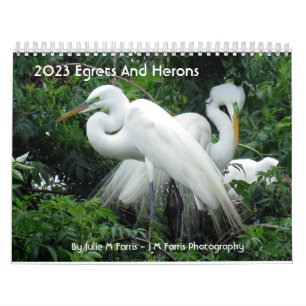 2023 Egrets And Herons 2 Calendar