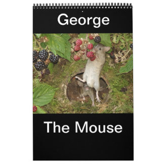 2023 george the mouse calendar