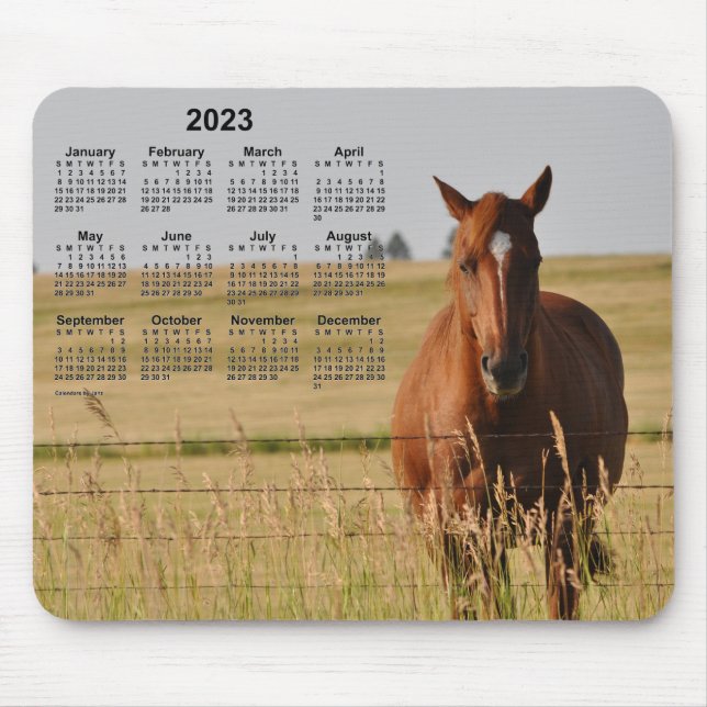 2023 Horse Calendar by Janz Mouse Pad (Front)