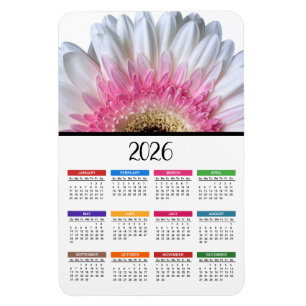2023 Pink and White Gerbera Daisy Calendar Magnet