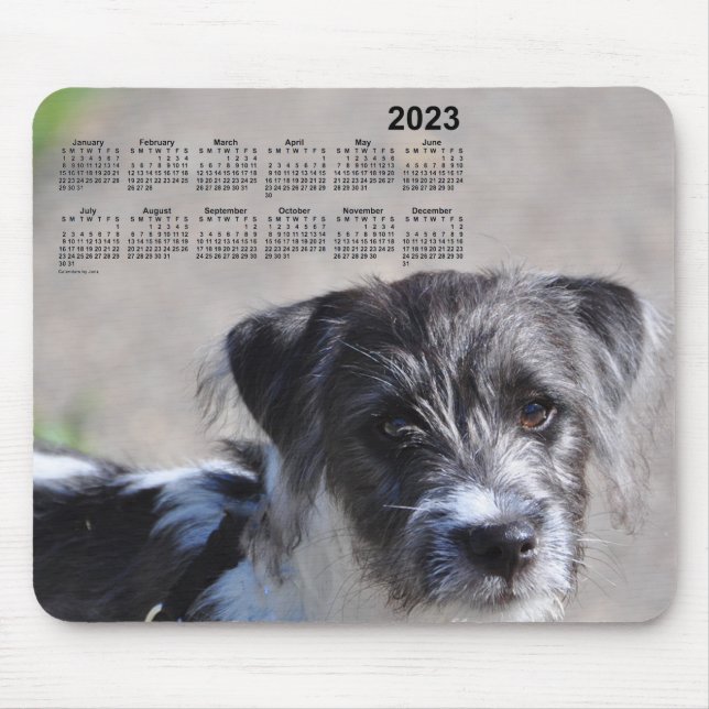 2023 Puppy Calendar by Janz Jack Russell Terrier Mouse Pad (Front)