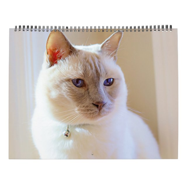 2023 Siamese Royalty Calendar (Back)