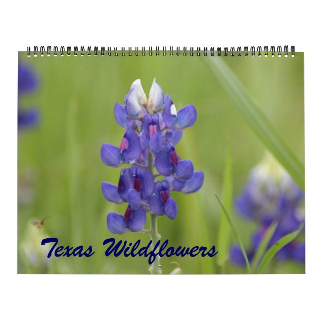 2023 Texas Wildflowers Calendar (Cover)