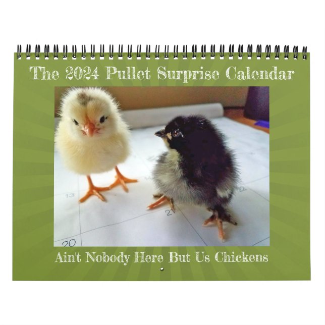 2024 Ain't nobody here but us chickens calendar (Cover)