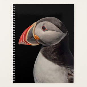 2024 Atlantic Puffin in Maine Planner
