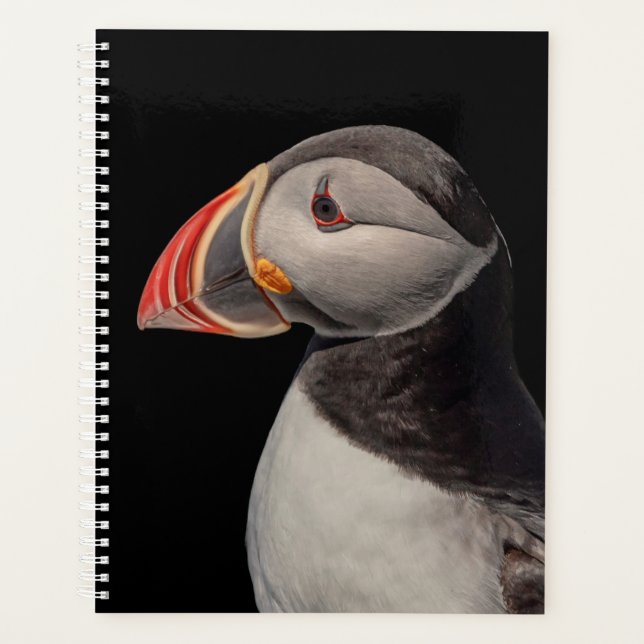 2024 Atlantic Puffin in Maine Planner (Front)
