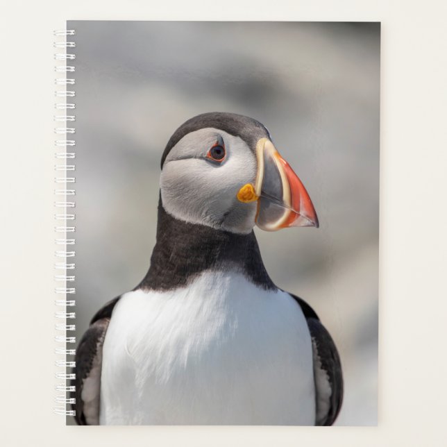 2024 Atlantic Puffin in Maine Planner (Front)