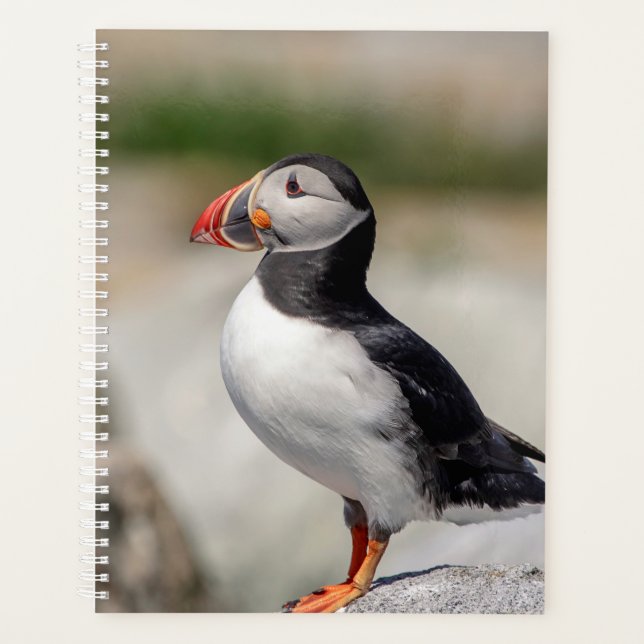 2024 Atlantic Puffin in Maine Planner (Front)