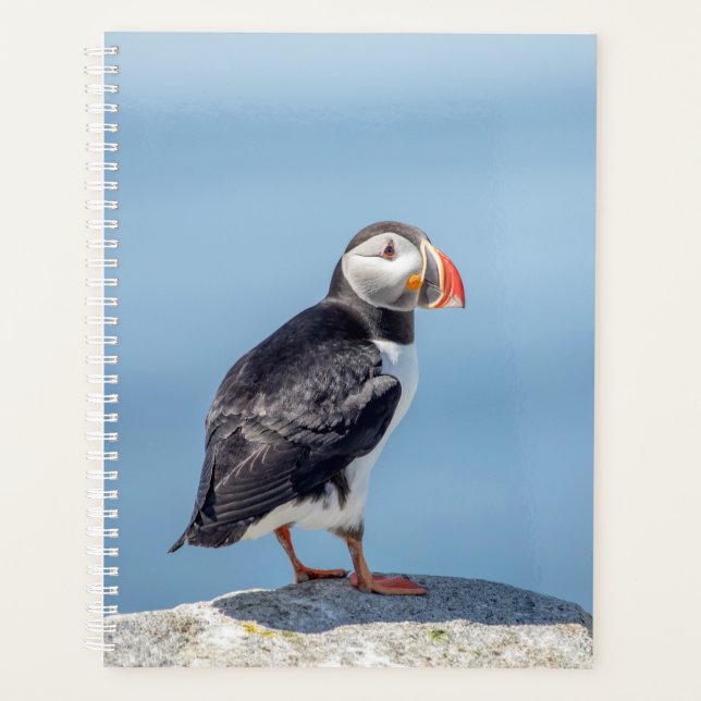 2024 Atlantic Puffin in Maine Planner (Front)