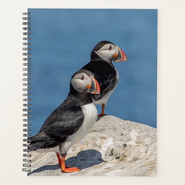 2024 Atlantic Puffins in Maine Planner (Front)