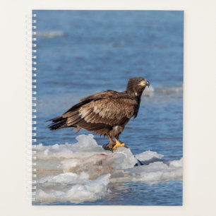 2024 Bald Eagle on Ice Planner