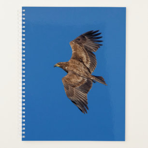 2024 Bald Eagle Planner