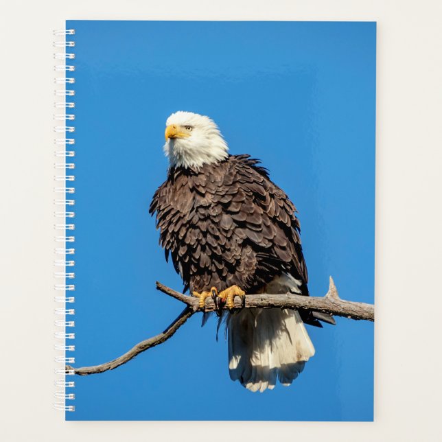 2024 Bald Eagle Planner (Front)