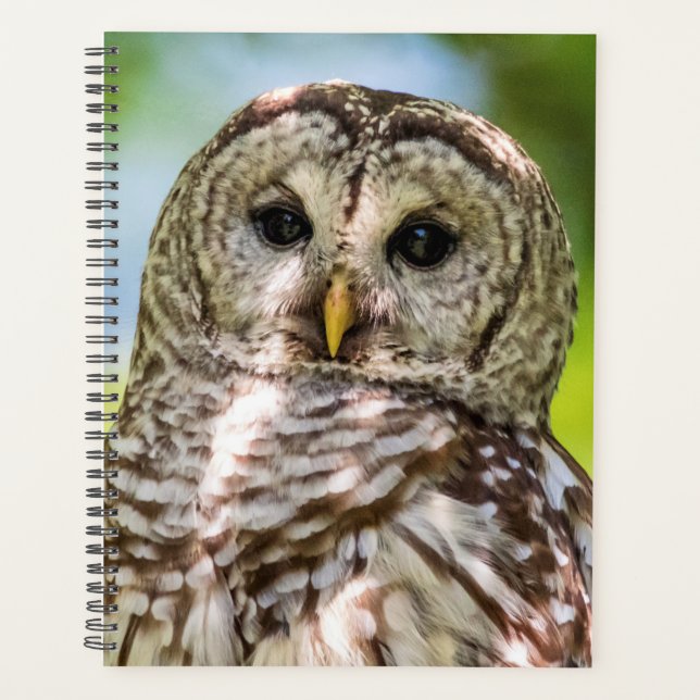 2024 Barred Owl Planner (Front)
