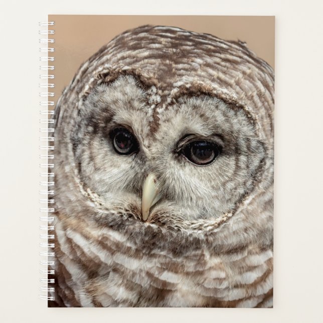 2024 Barred Owl Planner (Front)
