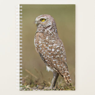 2024 Burrowing Owl Planner