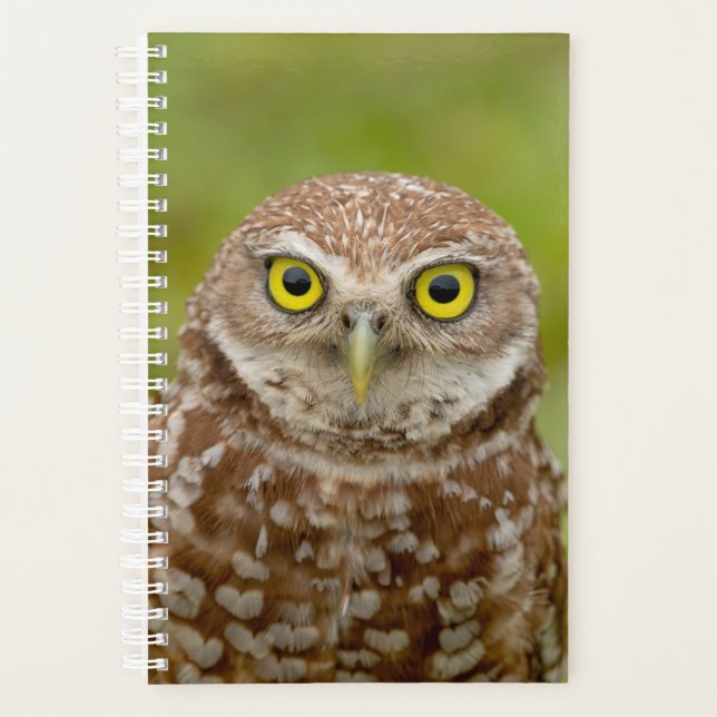 2024 Burrowing Owl Planner (Front)